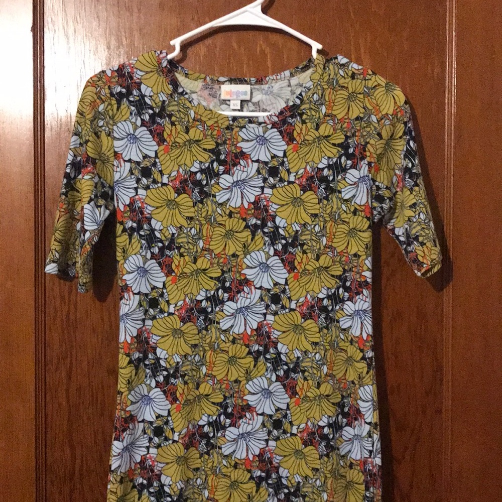 Lularoe xs Julia dress